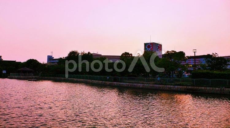 🏞️ 이치바 연못 공원 (이치바이케 코엔)